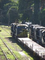 MRSL 3916